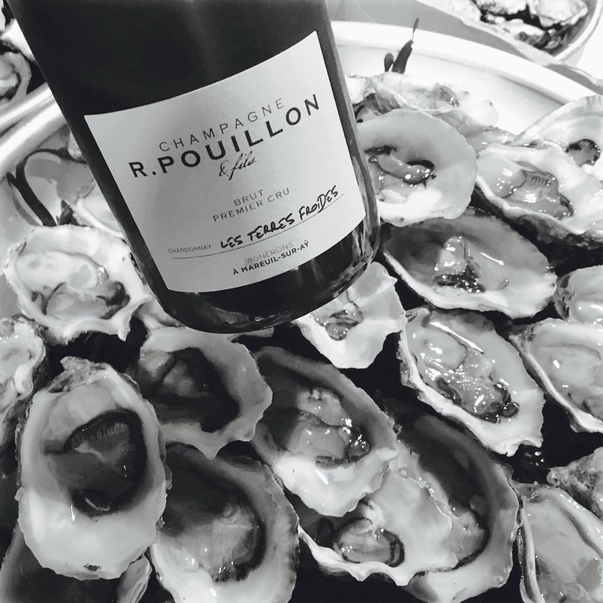 POUILLON, BLANC DE BLANCS, LES TERRE FROIDES 75cl